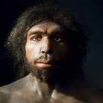 Homo-antecessor-facial-reconstruction