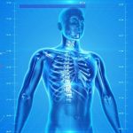 human-skeleton-163715_960_720